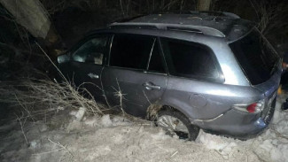 В Воронежской области три девушки на иномарке съехали в кювет: есть пострадавшие