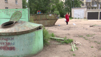 Контейнеры для раздельного сбора отходов появятся на мусорных площадках Воронежа