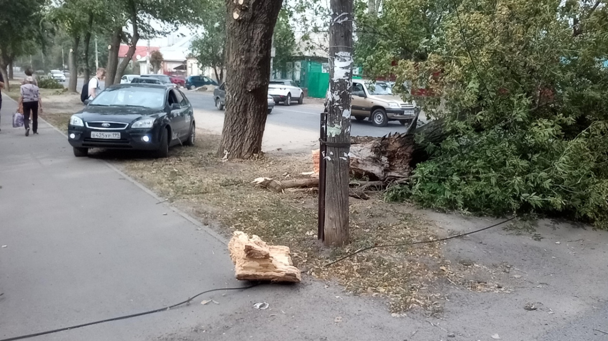 Ураган повалил огромные деревья в Воронеже | 08.09.2020 | Воронеж -  БезФормата