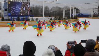 Каток на Адмиралтейской площади в Воронеже временно закрыли из-за снегопада