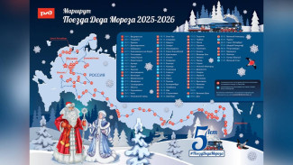 Дед Мороз не приедет в Воронеж