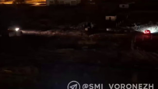 Под Воронежем парень на угнанной машине устроил гонки с полицейскими