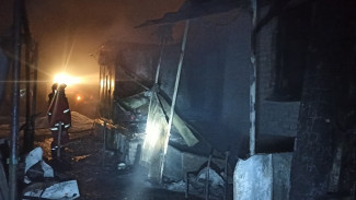 Мужчина и женщина погибли в пожаре в Эртильском районе