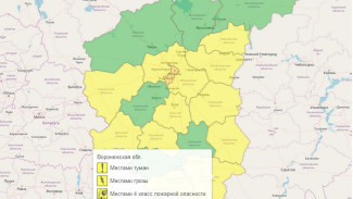 В Воронежской области ввели жёлтый уровень опасности из-за гроз и тумана