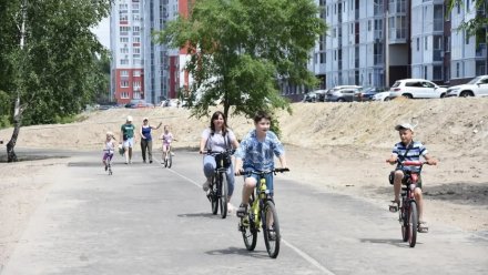 Мэр Сергей Петрин предложил воронежцам выбрать места для новых велополос 