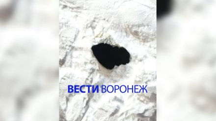 Прокуратура начала проверку после падения школьника в люк в Воронеже