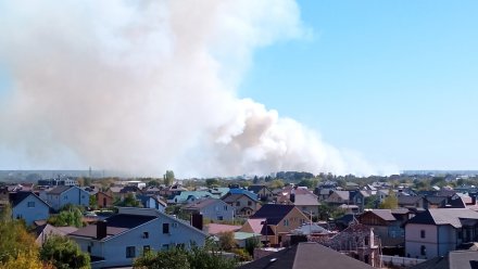 Сухая трава загорелась в Отрадном под Воронежем