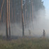 В шести районах Воронежской области установится 4-й класс пожарной опасности