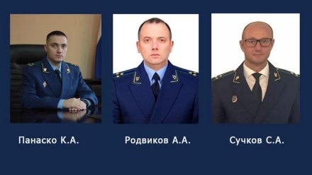 У прокурора Воронежской области появились разом три новых заместителя
