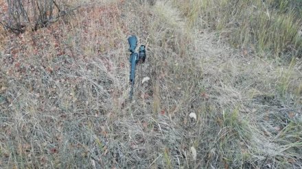 Воронежский бизнесмен ответит за убийство на охоте водителя после продажи ему мясокомбината
