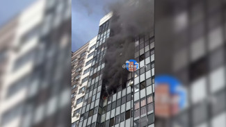 Огонь охватил квартиру в воронежском ЖК «Лазурный»