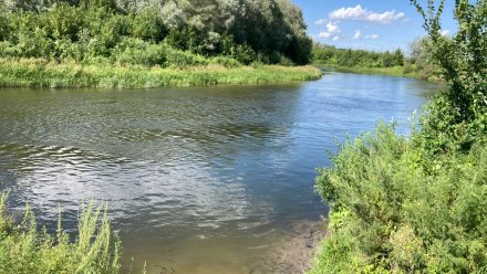 В Воронежской области в реке Ворона утонул 14-летний мальчик