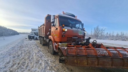 Мужчина пострадал в ДТП со снегоуборочной машиной на трассе Воронеж – Курск