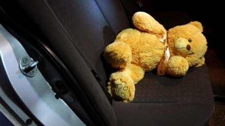 Под Воронежем будут судить водителя, попытавшегося спасти сбитого им 6-летнего мальчика