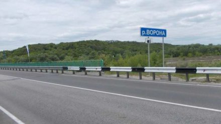 В Воронежской области ограничат движение на мосту через реку Ворона