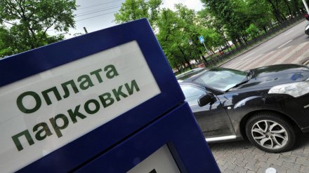 Мэрия дойдёт до Верховного суда в споре с воронежцами из-за платных парковок