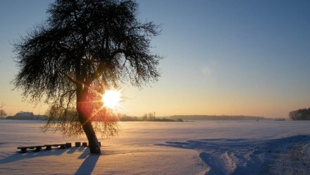 Над Воронежской областью взойдёт самое большое Солнце в году