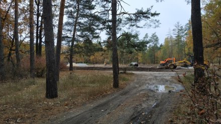 Воронежцев обеспокоила стройка в лесу возле «Олимпика»