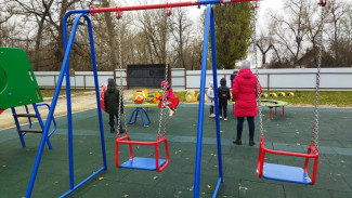 Депутаты «Единой России» помогли со строительством детской площадки в воронежском селе