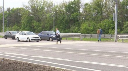 Мать двоих детей поедет в колонию на 2 года за сбитую насмерть под Воронежем зоозащитницу