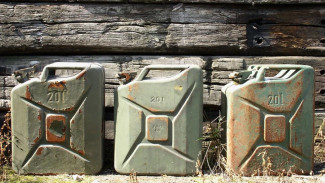 Дело о сожжении заживо женщины в Лисках дошло до суда