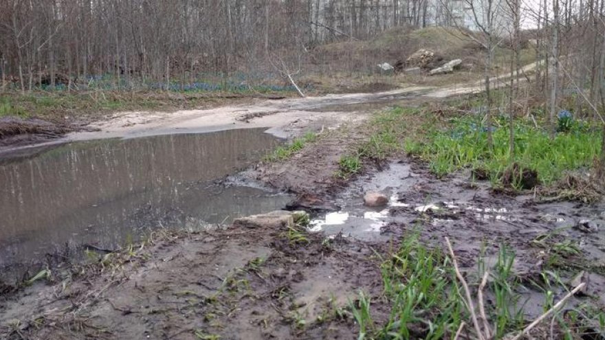В Воронеже Нагорную дубраву затопило фекалиями