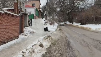Почти 2 тыс. воронежцев пострадали из-за гололедицы за неделю
