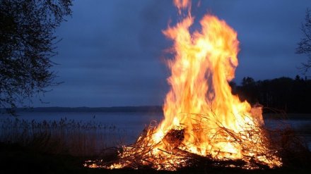 Ребёнок из Воронежской области обгорел из-за неудачной попытки потушить костёр бензином