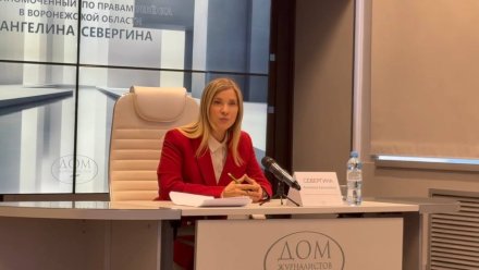 Похищенного бабушкой внука готовятся перевезти из Греции в Воронеж