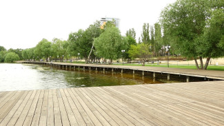 Вход в парк «Дельфин» в Воронеже временно закроют