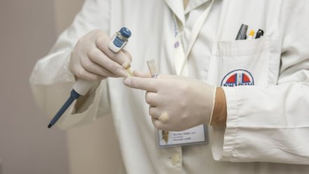 Специалисты-эксперты и эксперты качества медпомощи воронежских СМО провели 80 236 экспертиз