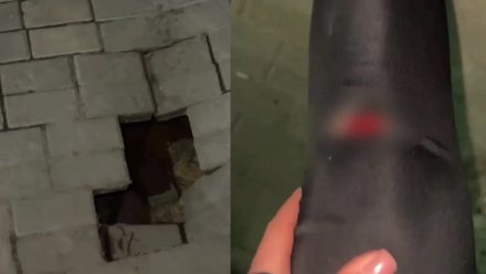 В Воронеже начали ремонтировать яму на Петровской набережной после травмирования девушки