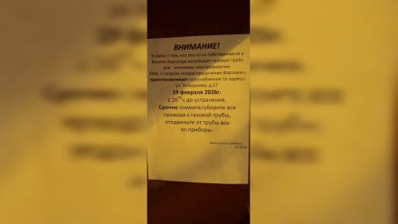 Жильцам воронежской 9-этажки отключили газ из-за опасности взрыва