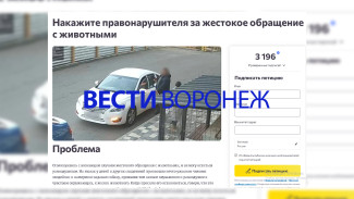 Воронежцы создали петицию с просьбой наказать переехавшего собаку мужчину