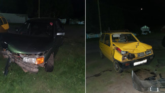 В Воронежской области в столкновении ВАЗов пострадали двое мужчин