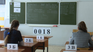 В Воронежской области 73 выпускника сдали ЕГЭ на 100 баллов