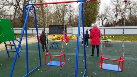 Депутаты «Единой России» помогли со строительством детской площадки в воронежском селе