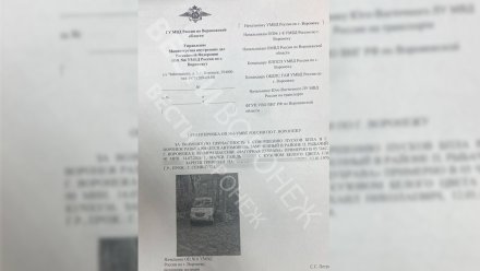 В Воронеже начали распространять ориентировку на причастную к теракту ВСУ машину