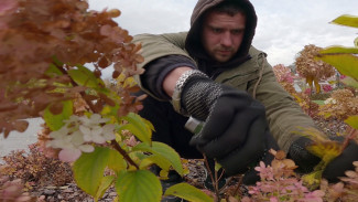 Зима близко. Как «переодеваются» к холодам воронежские скверы и парки