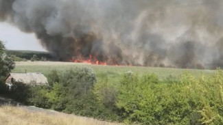 В Воронежской области несколько суток тушат болота