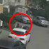 В полиции начали проверку после нападения бойцовских псов на маленькую собаку в Воронеже