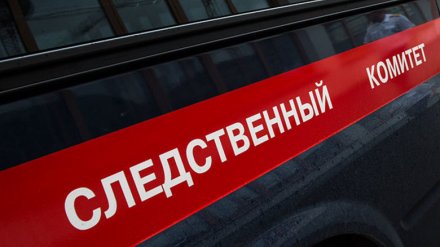 Воронежский СК назвал причину пожара, в котором погибли парень и 5-летний ребёнок