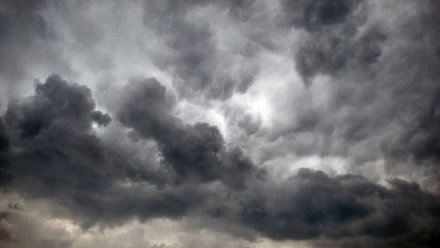 Дождливую и ветреную погоду пообещали воронежцам в последние апрельские выходные