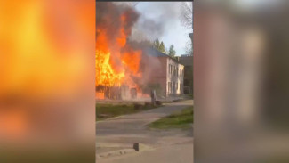 В Воронеже произошёл пожар возле жилых домов: появилось видео