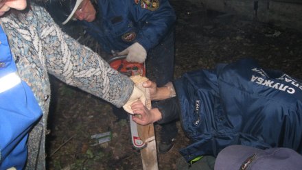 В Воронеже спасли мальчика, проткнувшего руку гвоздём