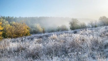 Воронежец показал завораживающие фото утренних заморозков