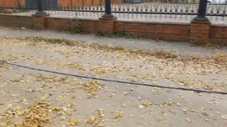 «Могут убить человека». Энергетик пожаловался на опасные провода в Воронеже