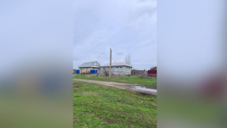 В Воронежской области мясник забил ножом 33-летнего знакомого
