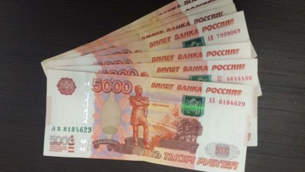 Воронежцам предложили вакансии с зарплатой до 500 тыс. рублей 