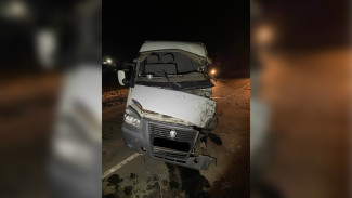 Женщина на «Газели» врезалась в КамАЗ в воронежском селе 